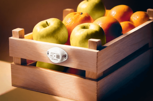 Capteur de température EYE SENSOR EN12830 installé sur une cagette de fruits